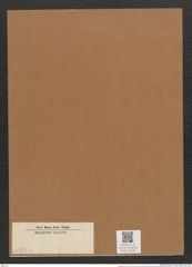 Diatomeae indet. (de-Toni-Nr.: Species 3024) Zeichnungen Sammlung Grunow Mappe 03245 (Herbarium_W_Grunow_drawings_Folder_03245)